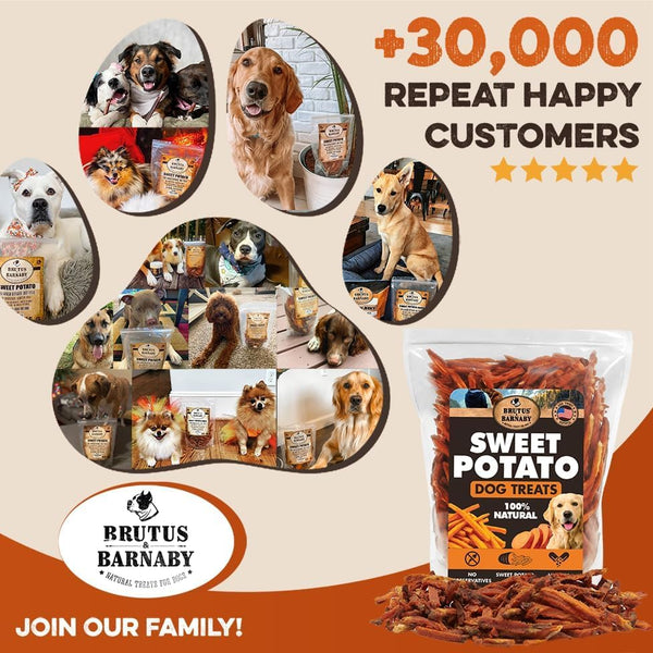 BRUTUS & BARNABY Sweet Potato Dog Treats- No Additive Dehydrated Sweet Potato Fries, Grain Free, Gluten Free and No Preservatives Added (14 oz) 14