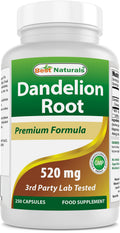 Best Naturals Dandelion Root 520 Mg 250 Capsules