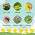 Fruit Fly Traps Fungus Gnat Traps Yellow Sticky Bug Traps 36 Pack No Harm and Odorless for Indoor Outdoor Use Protect The Plant 36 Pack-A Yellow