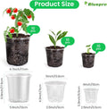 Bluepro 36 Packs 5/4/3.5 Inch Reinforced Clear Nursery Pots with Drainage Hole, Transparent Variety Pack Plastic Plant Pot Seedling Planter for