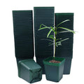 Square Seedling Nursery Pots 3.15 Inches 100 Pcs for Small Succulents or Cacti Flower Plastic Pots Sturdy Reusable (Green, 3.14Inches,100Pcs)