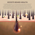 Beard Care Kit - Softer, Smoother, Moisturized Beard - Beard Oil and Balm - Gift Set (Sandalwood Bourbon)
