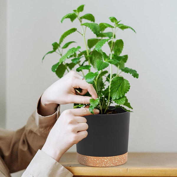QCQHDU 5 inch Plant Pot, 2 Pack Planters for Indoor Plants with Drainage Holes & Saucer, Outdoor Flower Pots Home Garden Modern Decor Dark Grey 5 inch