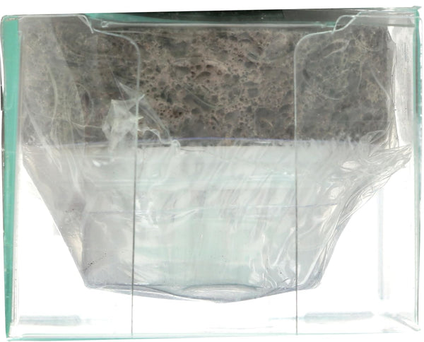 Earth Therapeutics Pumice Stone with Brush, 1 EA