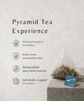 EZR Leaf Herbal & Fruit Tea Sampler Gift Box – 22 Pyramid Tea Bags with 9 Fruit & Floral Blends – Low & Caffeine Free Assortment for Relaxing Tea