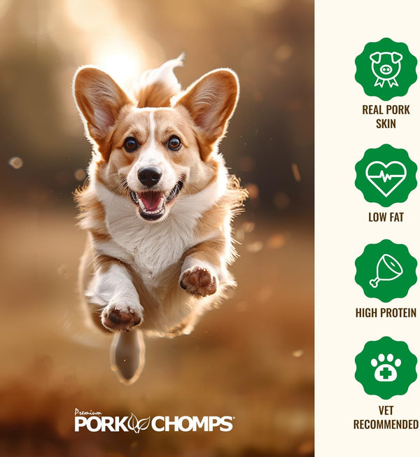 Pork Chomps Roasted Pressed Pork Skin Dog Chew, 7-inch Bone, 1 Count Roasted Pork 1 Count (Pack of 1)