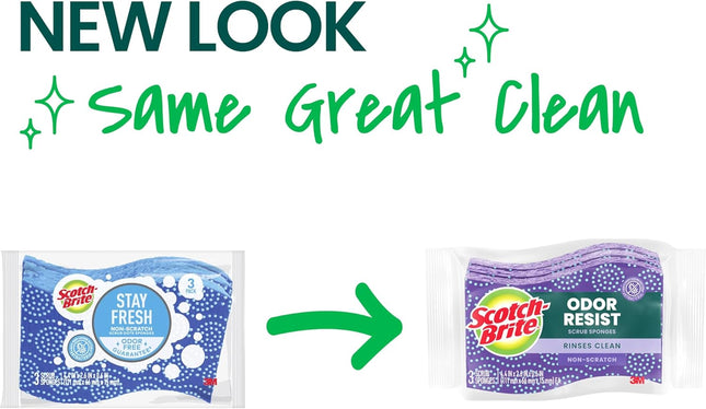 Scotch-Brite Scrub Dots Non-Scratch Scrub Sponge, Rinses Clean, for Washing Dish