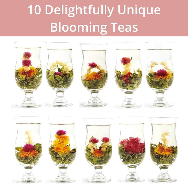 Blooming Tea Flowers Gift Set, 10 Unique Varieties Flowering Tea Balls, Individual Packing Handmade Blooming Balls for Anniversary, Valentine,