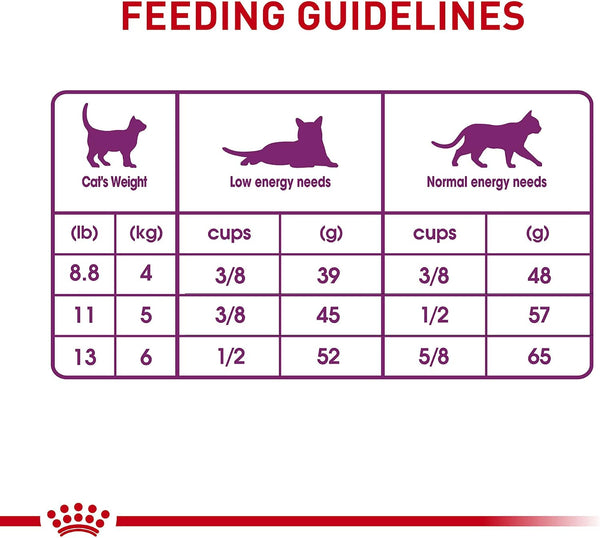 Royal Canin Feline Health Nutrition Sensitive Digestion Adult Dry Cat Food, 3.5 lb Bag 3.5 Pound (Pack of 1)