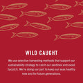 King Oscar Wild Caught Sardines in Extra Virgin Olive Oil 3.75 Ounce (Pack of 4)