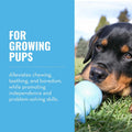 KONG Puppy Binkie - Pacifier Dog Toy for Puppies - Stuffable Treat Chew Toy for Treats - Durable Natural Rubber for Teething Puppy - for Medium
