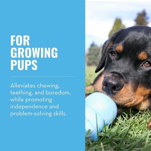 KONG Puppy Binkie - Pacifier Dog Toy for Puppies - Stuffable Treat Chew Toy for Treats - Durable Natural Rubber for Teething Puppy - for Medium