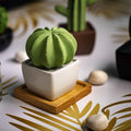 Dotti Cactus, Non-Electric Ceramic Diffusers for Essential Oils and Aromatherapy Fragrance, White Ceramic Diffusers in Car or Desk Office Decor