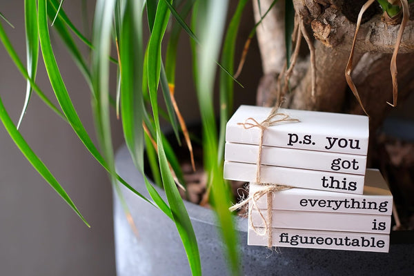 Cute Office Desk Decor, Inspirational Wooden Mini Faux Books for Decoration, Gifts for Women Kids - P.S. You Got This Sign