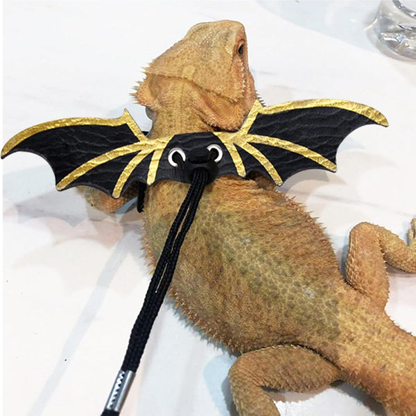 3 Size Pack Bearded Dragon Leashes and Harnesses, Bearded Dragon Harness, Soft Leather Detachable Adjustable Reptile Lizard Wing Leash (Black)