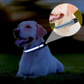 16 Pack Puppy Collars for Litter, Reflective Puppy Collars Adjustable Puppy ID Collars Soft Nylon Whelping Collars for Newborn Litter Puppy