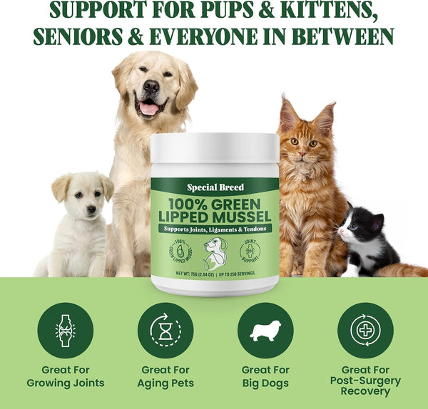 Green Lipped Mussel Powder for Dogs & Cats - 100% New Zealand Green Lipped Mussels - Natural Hip & Joint Supplement for Joints, Tendons,
