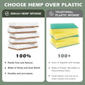 Plant-Based Kitchen Sponges - FSC Certified and PETA Approved, Natural, Eco-Friendly, Biodegradable Sisal Hemp Sponges for Dishes, Cleaning Sponge