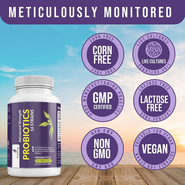 NutriZing Vegan Probiotics for Digestive Health - 30 Billion CFU & 16 strains - Bifidobacterium & Lactobacillus Probiotics for Men & Women -