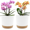 QCQHDU 8 Inch Plant Pot, 2 Pack Planters for Indoor Plants with Drainage Holes & Saucer, Outdoor Flower Pots Home Garden Modern Decor
