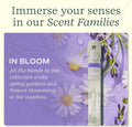 Lifelines Pen Diffuser, in Bloom - 1Mm Black Ballpoint Pen with Scented Essential Oil Blends Ã¢ÂÂ Aromatherapy Diffuser & Sensory Immersion Diffuse