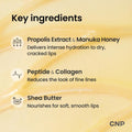 CNP Honey Lip Butter - Propolis Lipcerinâ¢ 01 Original, Hydrating Overnight Manuka Lip Balm & Mask, 12hr Long-Lasting Moisture, Stocking Stuffers,