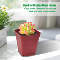 Square Plastic Nursery Pot 3" 120 Pcs Deep Succulent Pots Small Flower Planter Seeds Starter Pots with Drainage (Green,Black,Red 40Pcs Each,2.7Inches)