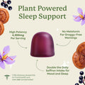 Plant People Wondersleep Mushroom Gummies Supplement for Sleep and Relaxation with Reishi Super Mushrooms, Wild Elderberry Flavor, No Sugar (60 Count)