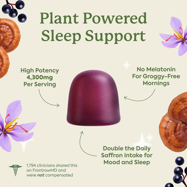 Plant People Wondersleep Mushroom Gummies Supplement for Sleep and Relaxation with Reishi Super Mushrooms, Wild Elderberry Flavor, No Sugar (60 Count)