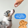 Buddy Biscuits Trainers Training Bites Soft & Chewy Dog Treats, Bacon, 10 oz. Pouch 10 Ounce (Pack of 1)