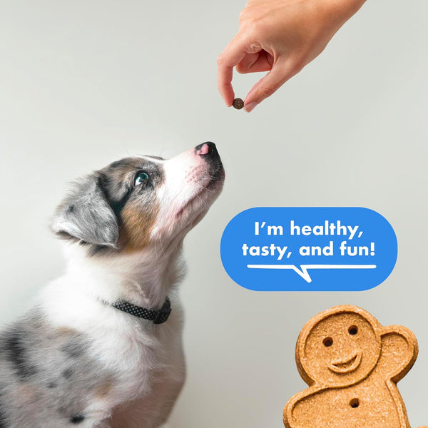 Buddy Biscuits Trainers Training Bites Soft & Chewy Dog Treats, Bacon, 10 oz. Pouch 10 Ounce (Pack of 1)