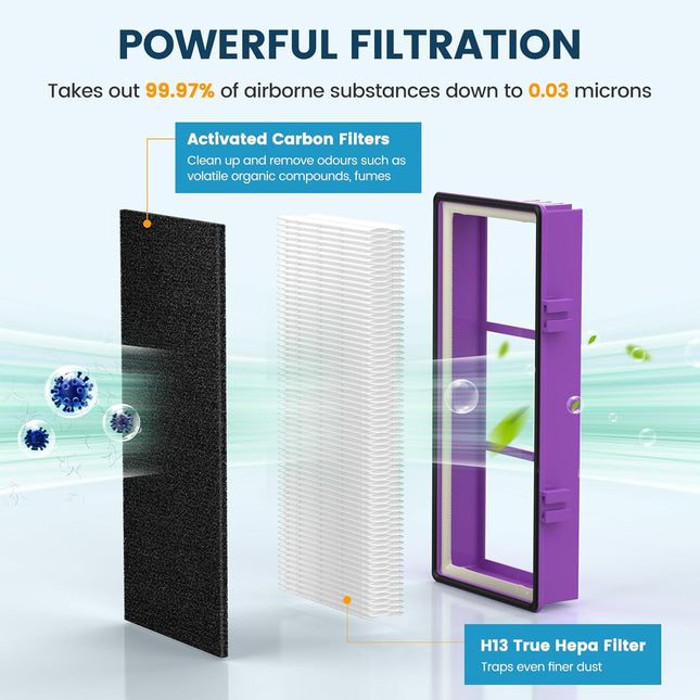 Colorfullfe Performance plus Filter for Holmes AER1 True Filter, Replacement HAPF300AP-U4, 4 Filter and 8 Carbon Filters