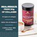 Ancient Nutrition Collagen Powder Protein, Multi Collagen Protein Beauty + Sleep with Vitamin C, Vanilla Chai, Hydrolyzed Collagen Peptides