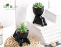 Der Rose Set of 2 Fake Plants Artificial Succulent Plants for Office Desk Accessories Black Bathroom Home Room Aesthetic Decor Indoor Black 2