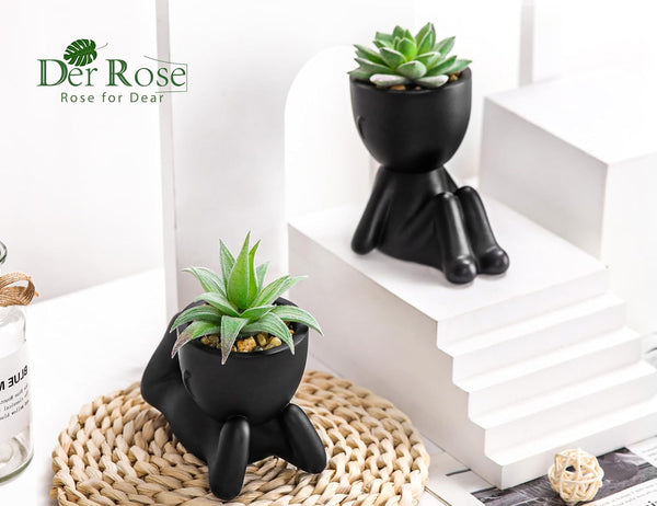 Der Rose Set of 2 Fake Plants Artificial Succulent Plants for Office Desk Accessories Black Bathroom Home Room Aesthetic Decor Indoor Black 2