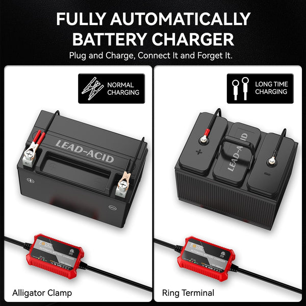 Foval Automatic Trickle Battery Charger 12V 1000Ma Smart Battery Charger