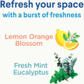 Clorox Disinfecting Mist, Eucalyptus Peppermint, Household Essentials, 1 Spray and 1 Refill, 16 Oz Each