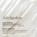 The Face Shop Rice Ceramide Moisturizing Skincare Set - Toner & Moisturizer, Korean Skin Care with Rice Water, Gift Set, Travel Size, Hydrating