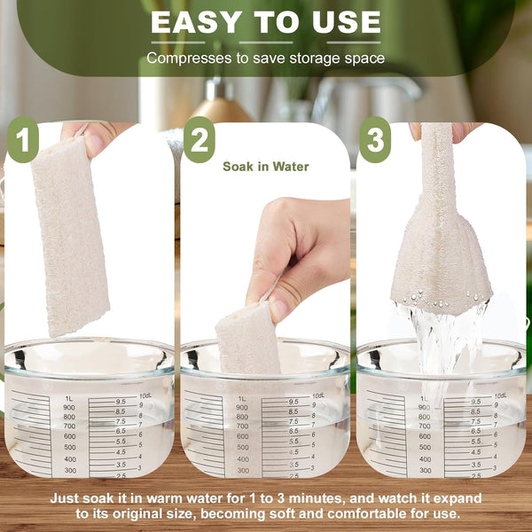 5 Inch Natural Loofah Sponge Exfoliating Body Scrubber 1 Count (Pack of 3)