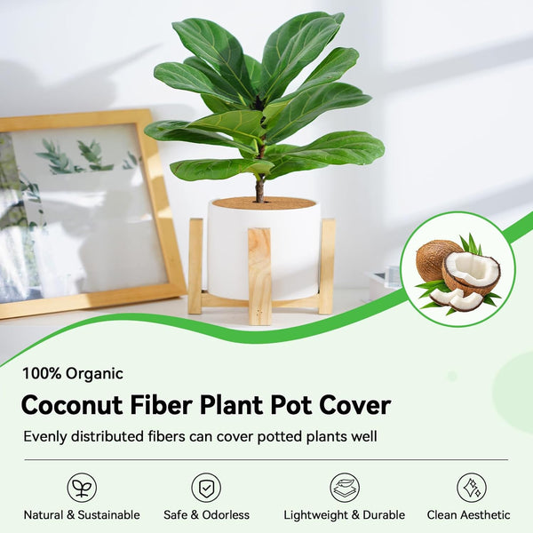 Zeedix 10 Pcs Coconut Fibers Mulch Ring Tree Protector Mat, 5.9 Inch Coco Coir Tree Protection, Tree Ring Mats Tree Disc Plant Cover for Indoor or