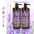 Dead Sea Collection Hand Soap Pump Lavender - Moisturizing Hand Wash Liquid with Dead Sea Minerals and Lavender Oil, Reviving, Calming - Pack of 2