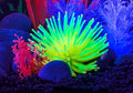 GloFish Yellow Anemone Ornament, Detailed Aquarium Ornament, Creates A Glowing Effect One Size Fits All Large - Yellow