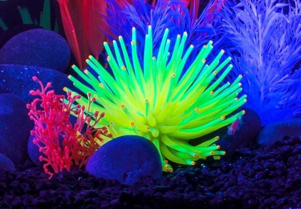 GloFish Yellow Anemone Ornament, Detailed Aquarium Ornament, Creates A Glowing Effect One Size Fits All Large - Yellow