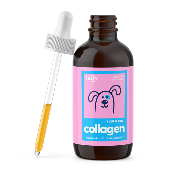 Skin and Coat Supplement for Dogs, Cats | Taily Liquid Collagen for Dogs | Itch Relief for Dogs with Allergies, with Grass Fed Collagen, Biotin,