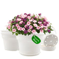 Pottiffe 10 Inch Plastic-Flower-Pot-for-Indoor-Plants, 4 Pack Large Outdoor Planter Pot with Drainage Holes & Saucers, Resin Decorative Garden