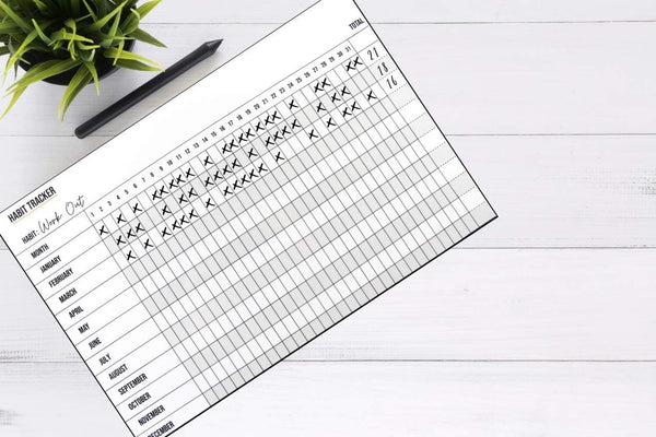 Dry Erase Habit Tracker Calendar Ã¢ÂÂ Double-Sided Monthly & Yearly Goal Planner Ã¢ÂÂ 11Ã¢ÂÂX17Ã¢ÂÂ Laminated, Reusable Ã¢ÂÂ Includes 2