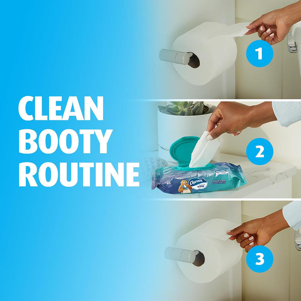 Charmin Flushable Wipes, 160 Total Wipes (4 Packs of 40) 40 Count (Pack of 4)