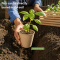 Bluepro 120 Packs 3.15 Inch Peat Pots, Biodegradable Pots for Seedlings with Drainage Holes, Herb Seed Starter 3.15 Inch-120Pcs Biodegradable Pots