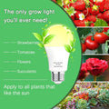 3 Pack Full Spectrum Grow Light Bulbs,A19 Grow Lights for Indoor Plants,Dimmable E26 9W Grow Bulb Replace up to 100W,Plant Lights for Indoor