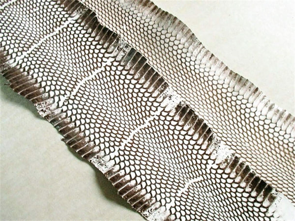 Cobra Snake Skin Snake Leather Hide Splitting Snakeskin with Head Cobra Taxidermy Real Snake Hide Natural 55 Length X5.5 Width Inches One Piece